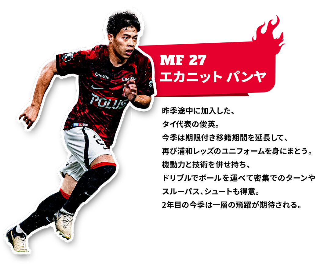 MF27　エカニット パンヤ