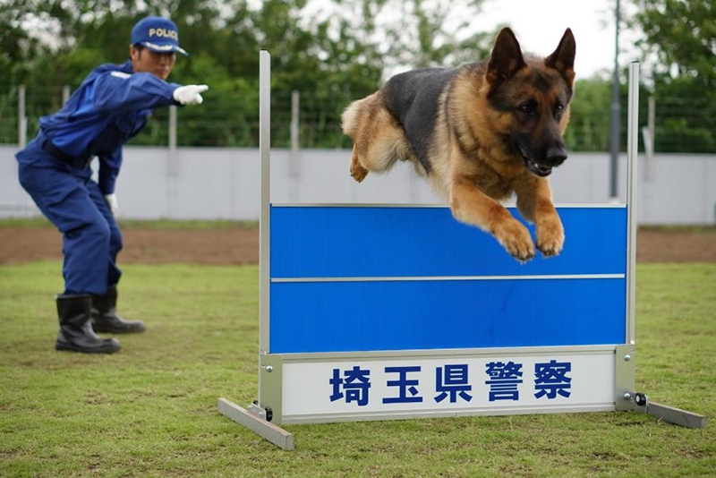 11/25(土)福岡戦 埼玉県警察と協働による「キッズ向け警察お仕事体験」実施のお知らせ