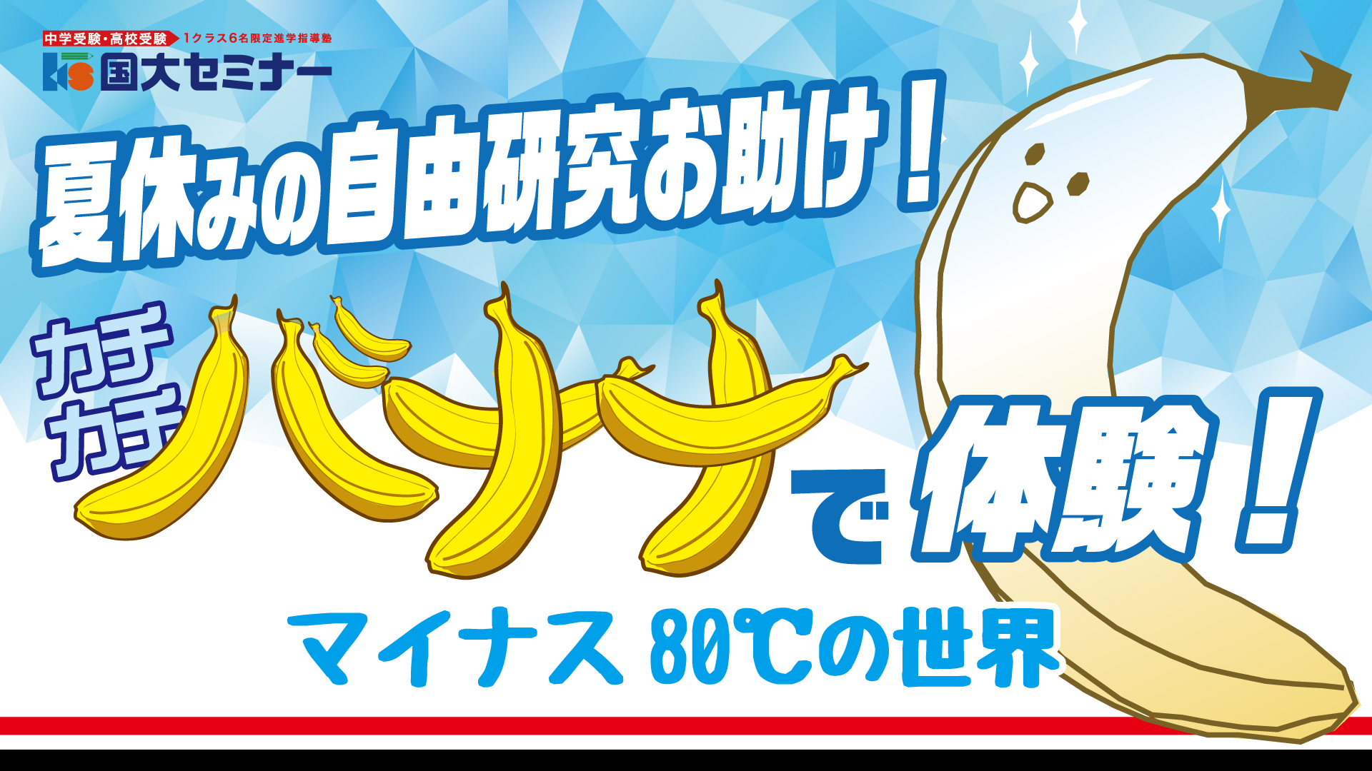 【夏休みの自由研究お助け】国大セミナーpresents カチカチバナナで体験!マイナス80℃の世界のご案内