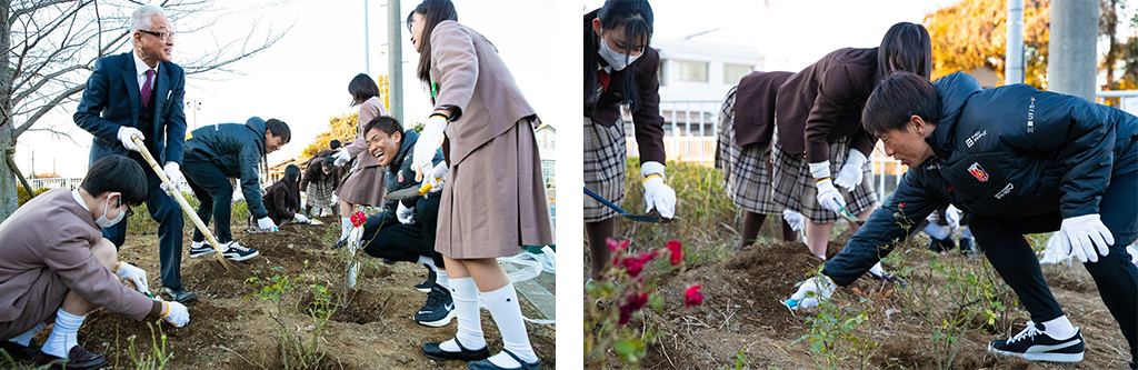 「レッズローズ」植栽活動2024シーズンレポート